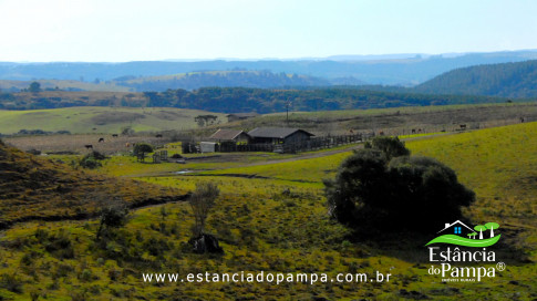 DOS EÓLICOS VIRA P FAZENDA_Moment.00_03_03_18.Quadro355_4ed45dfd31da784d6fcdd87fdf59233258424148.jpg